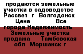 продаются земельные участки в садоводстве “Рассвет“ г. Волгодонск › Цена ­ 80 000 - Все города Недвижимость » Земельные участки продажа   . Тамбовская обл.,Моршанск г.